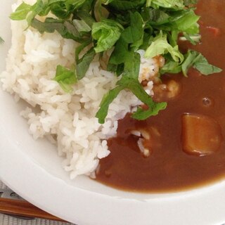 自家製野菜のせ☆カレーライス(*^^*)